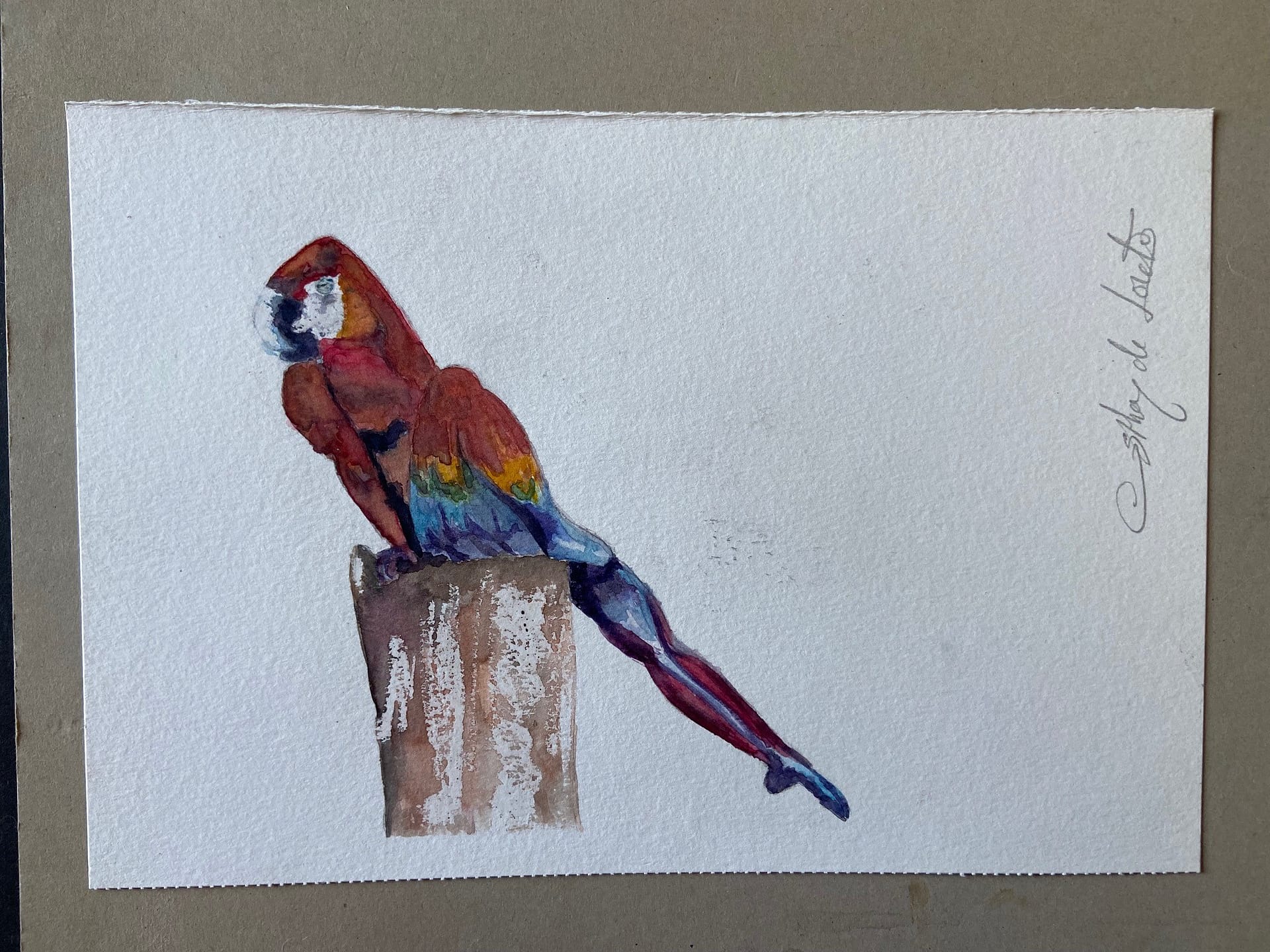 cuerpo pajaro 1