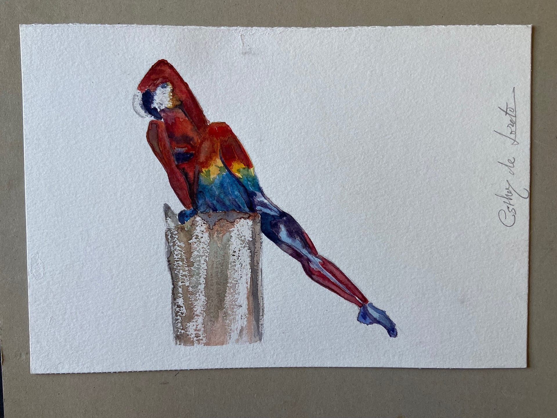 cuerpo y pajaro 2