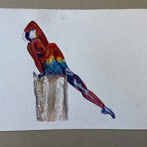 Ilustración cuerpo ave 2